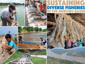 AFS Mekong collage