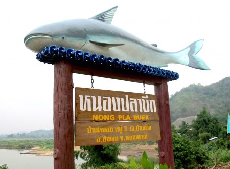 Mekong Catfish Sign