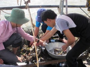 Vietnam fish survey