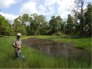 Sampling Vietnam wetland