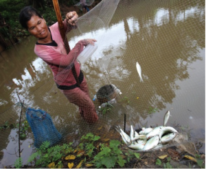 Fishing in Pak Peung Wetland