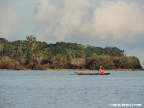 fishing-in-the-amazon-basin