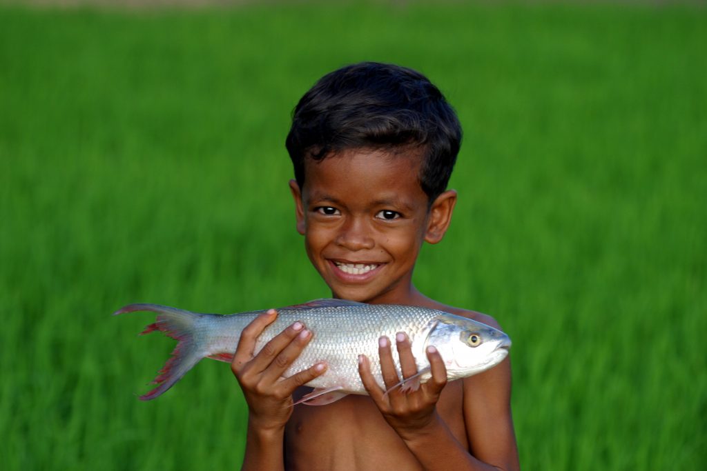 17 young boy holding a migratory cyprinid cirrhinus microlepis