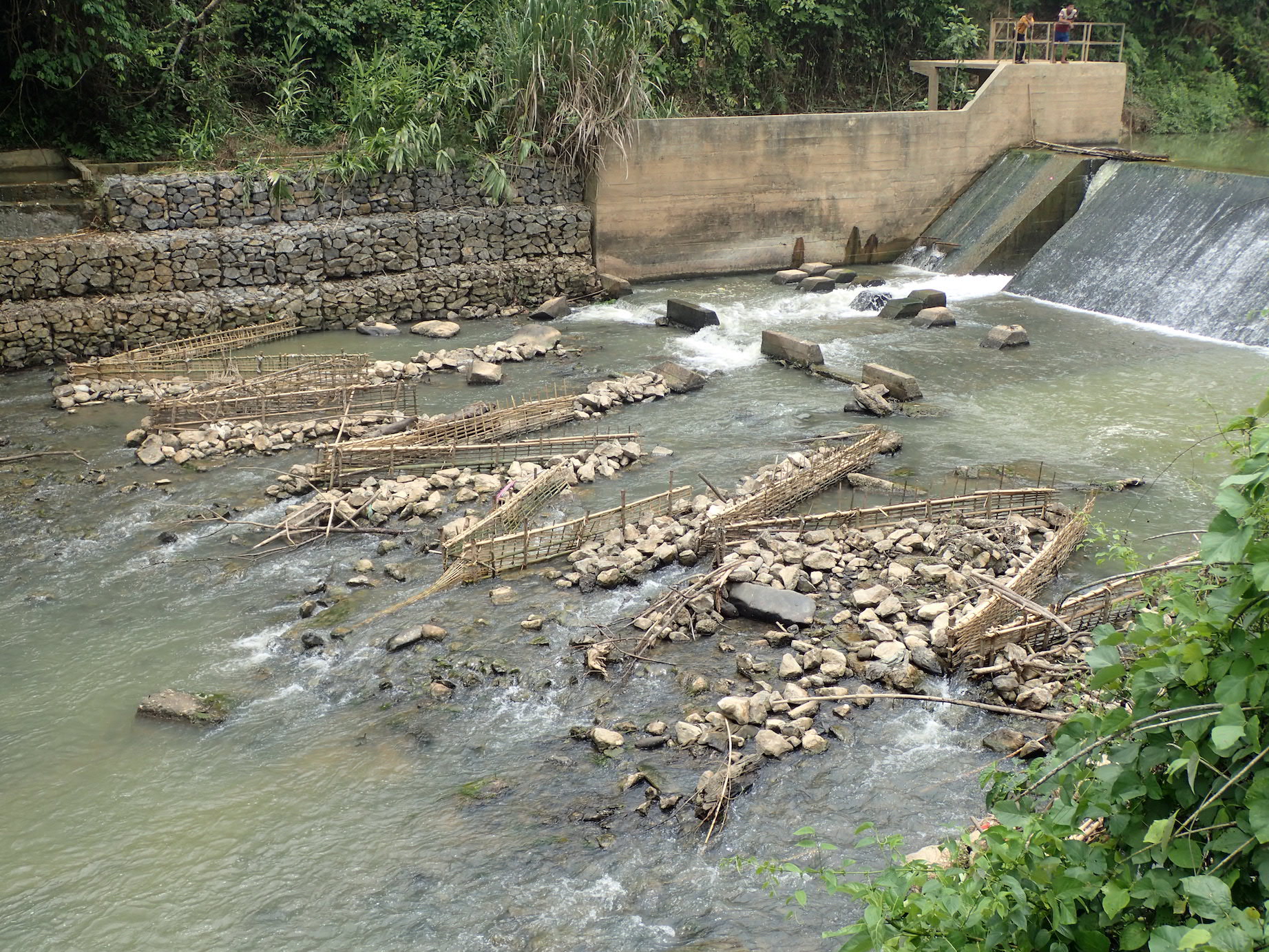 Woven Wedge Traps - Mekong Fish Network