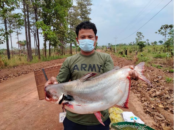 Fish trap made of bamboo and a fishing net on the Sangkae