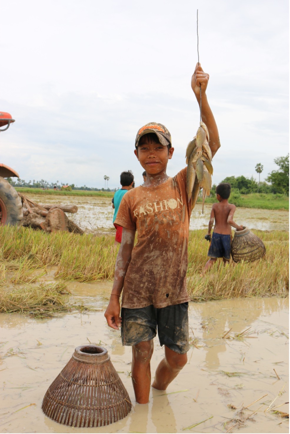 The Fish Hidden Beneath the Mud - Mekong Fish Network
